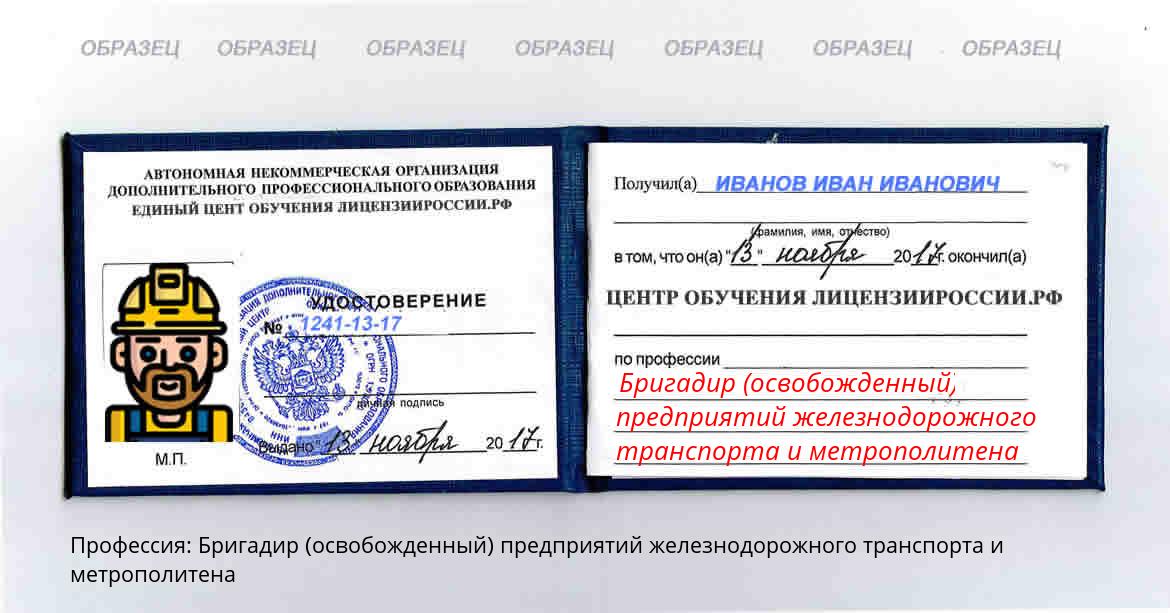 Бригадир (освобожденный) предприятий железнодорожного транспорта и метрополитена Россия