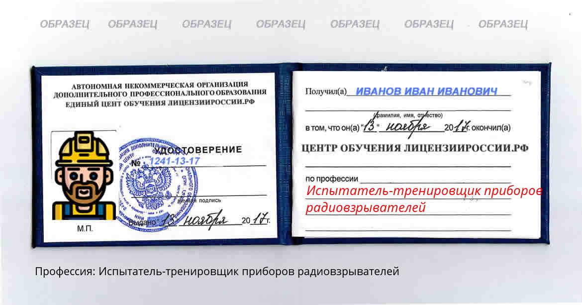 Испытатель-тренировщик приборов радиовзрывателей Россия