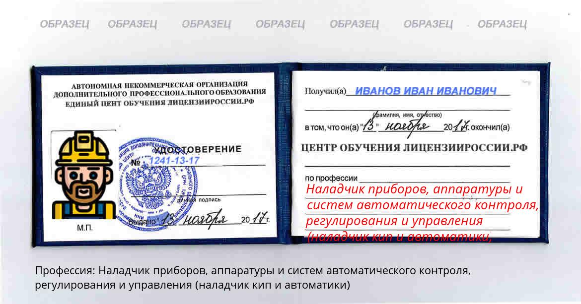 Наладчик приборов, аппаратуры и систем автоматического контроля, регулирования и управления (наладчик кип и автоматики) Россия