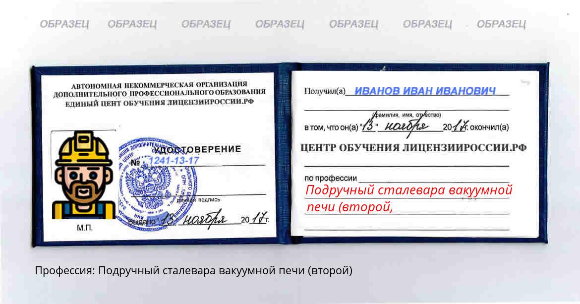 Подручный сталевара вакуумной печи (второй) Россия