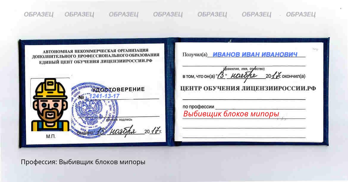 Выбивщик блоков мипоры Россия
