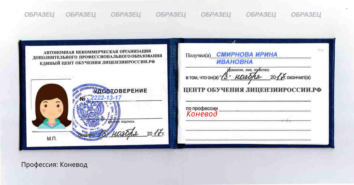 Коневод Россия