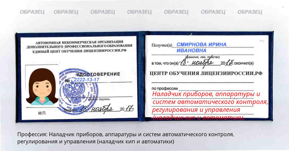 Наладчик приборов, аппаратуры и систем автоматического контроля, регулирования и управления (наладчик кип и автоматики) Россия