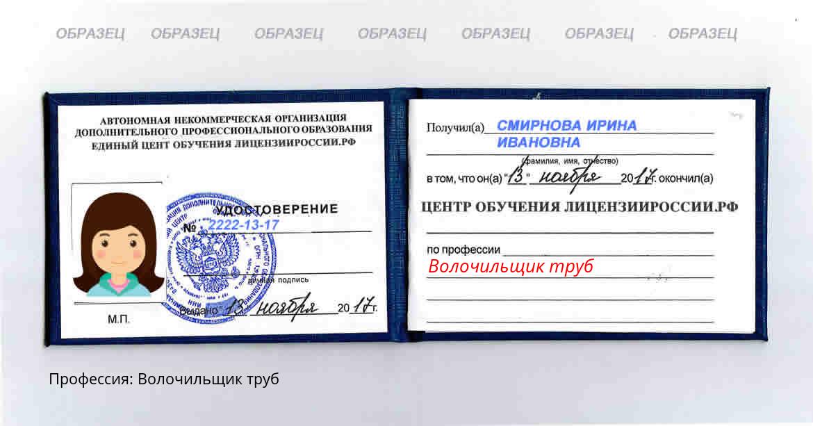 Волочильщик труб Россия